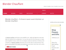 Tablet Screenshot of blender-chauffant.info